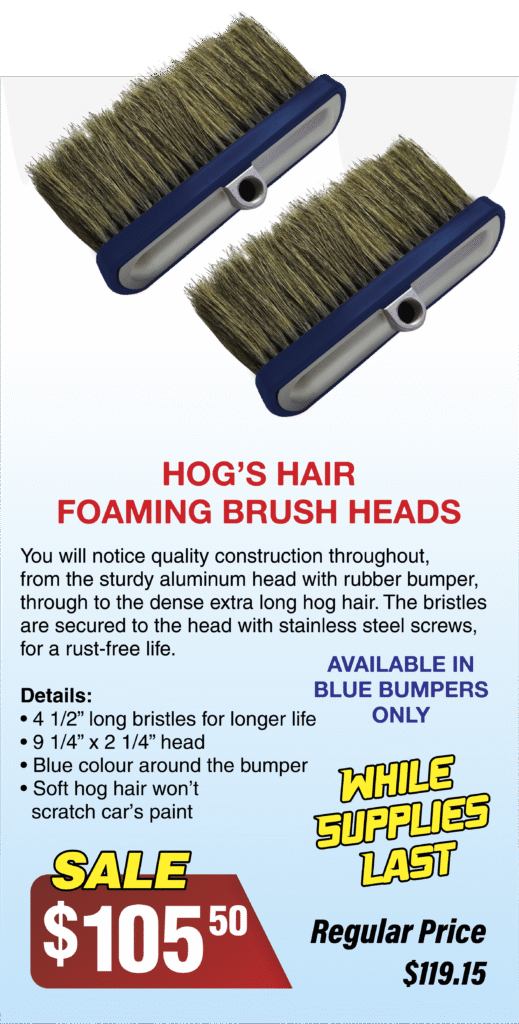hogs hair brushes