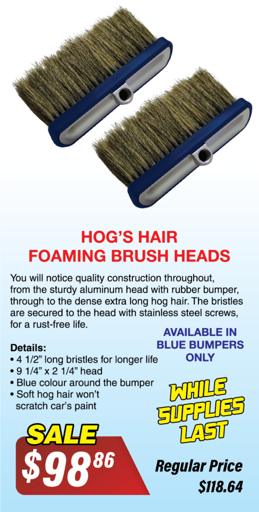 Hogs Hair Brush Promotion